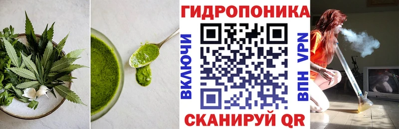 Canna-Cookies марихуана  Шумиха 